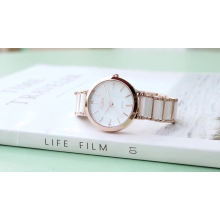 Relógio feminino de luxo de quartzo impermeável de aço inoxidável de suprimentos OEM para negócios de moda relógio analógico para senhora